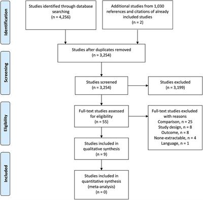 Neurological Outcome Following Newborn Encephalopathy With and Without Perinatal Infection: A Systematic Review